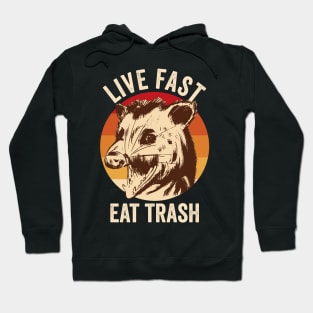 Live Fast Eat Trash Opossum Hoodie